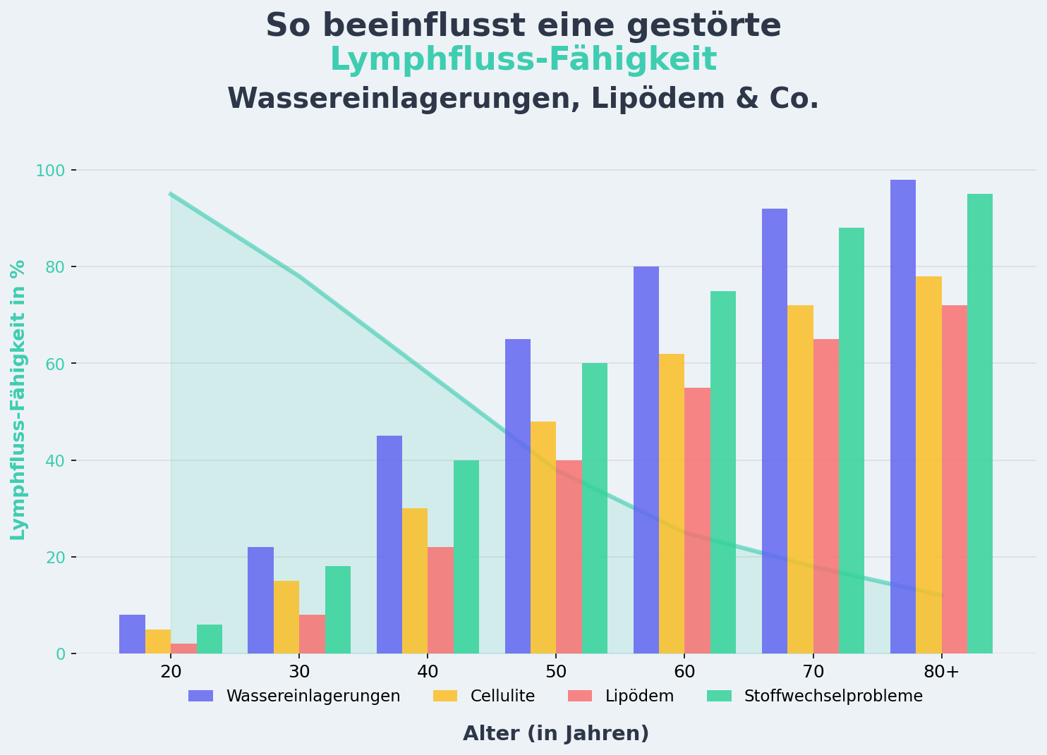 Anatomie: Venensystem & Lymphfluss in den Beinen